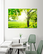 Obraz Zelený háj 1601